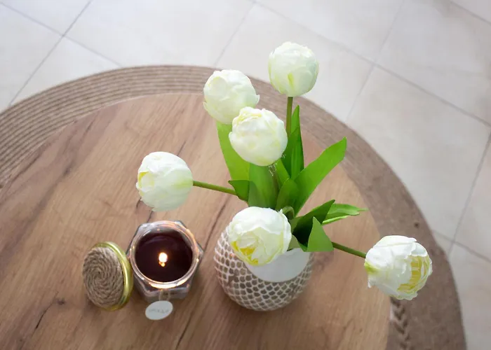 米特奥家庭酒店 3* 切佩拉雷