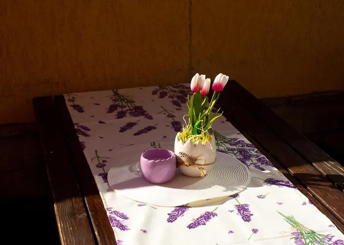 米特奥家庭酒店 3*