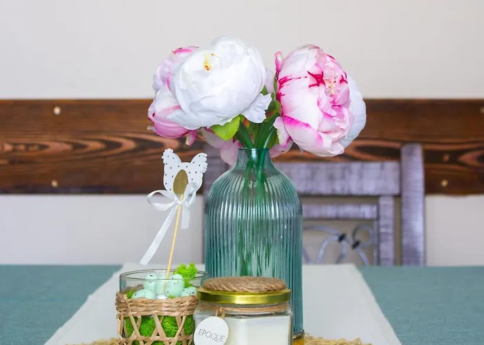 酒店 米特奥家庭酒店 切佩拉雷