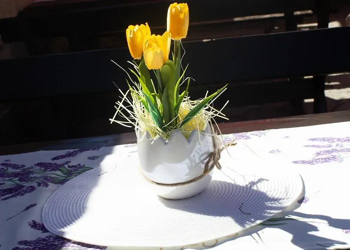 米特奥家庭酒店 3* 切佩拉雷